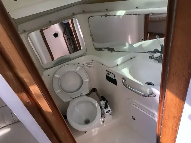 Catalina 320