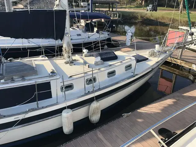 Tayana Mariner 36