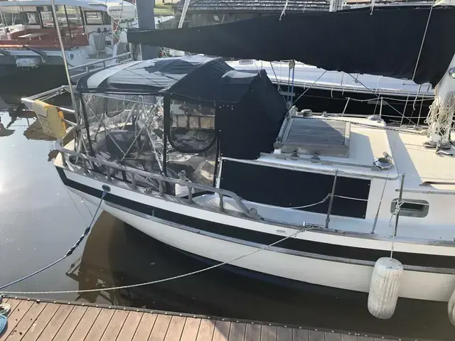 Tayana Mariner 36