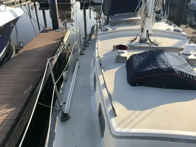 Tayana Mariner 36