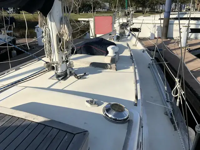 Tayana Mariner 36