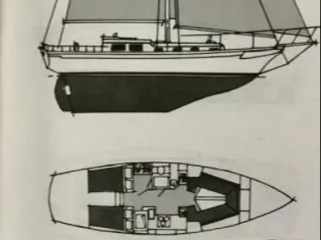 Tayana Mariner 36