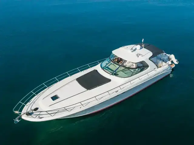 Sea Ray 54