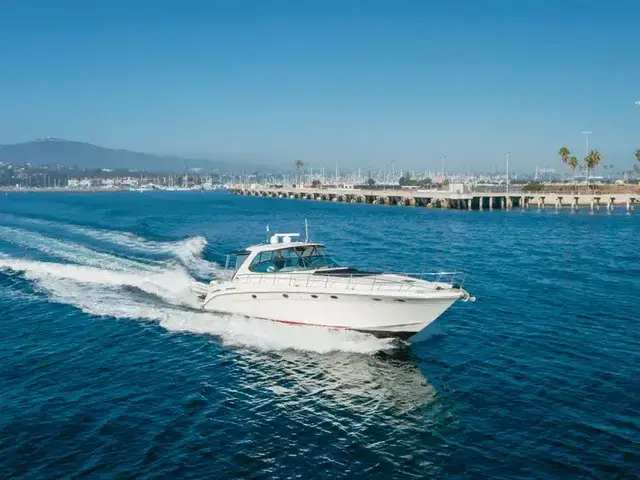 Sea Ray 54