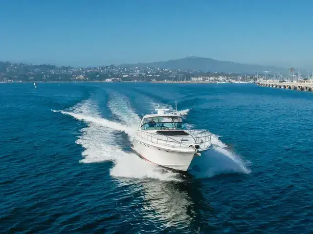 Sea Ray 54