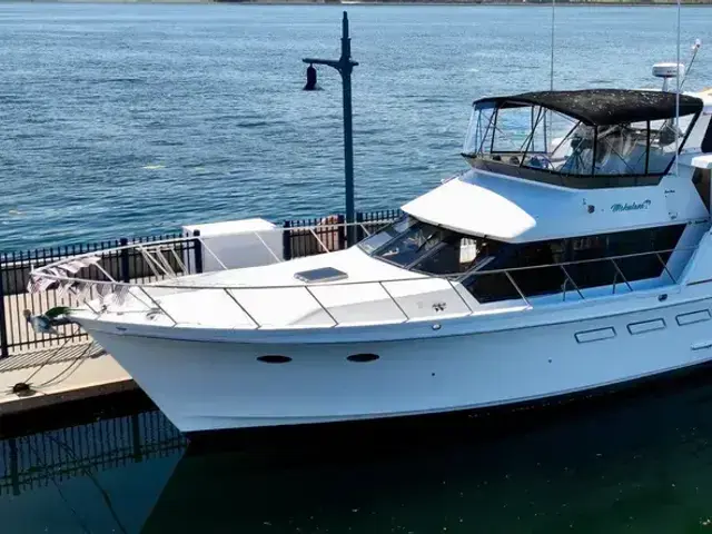 Ocean Alexander 54