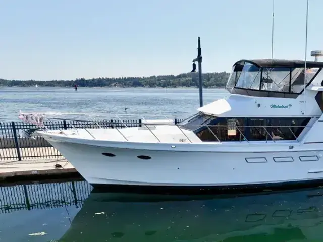 Ocean Alexander 54