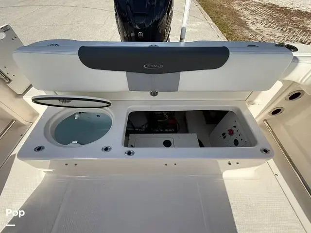 Robalo 222 Explorer