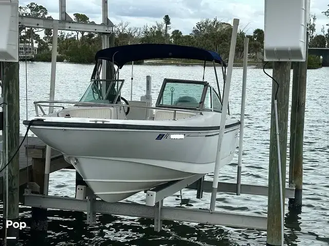 Boston Whaler Dauntless 17