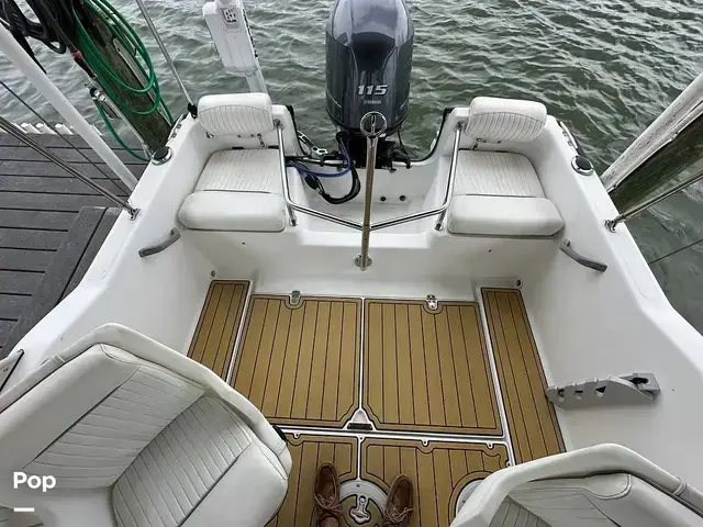 Boston Whaler Dauntless 17