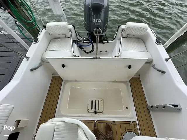 Boston Whaler Dauntless 17