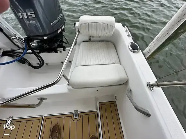 Boston Whaler Dauntless 17