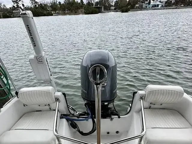 Boston Whaler Dauntless 17