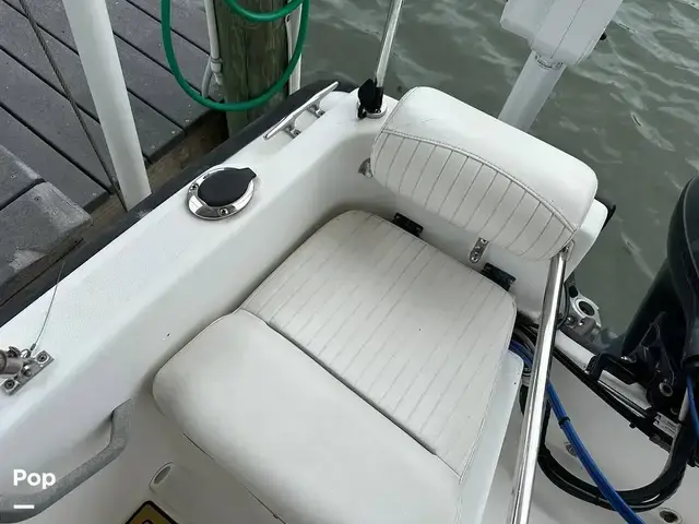 Boston Whaler Dauntless 17