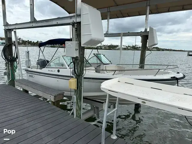 Boston Whaler Dauntless 17