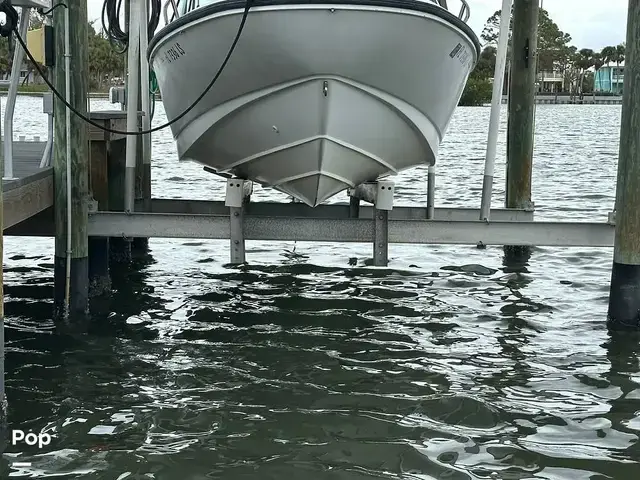 Boston Whaler Dauntless 17