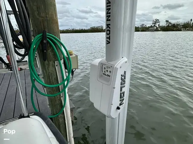 Boston Whaler Dauntless 17