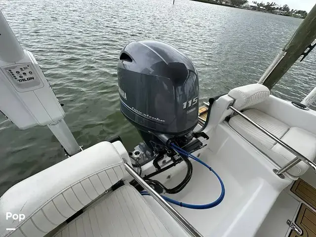 Boston Whaler Dauntless 17