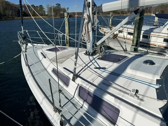 Hunter 35