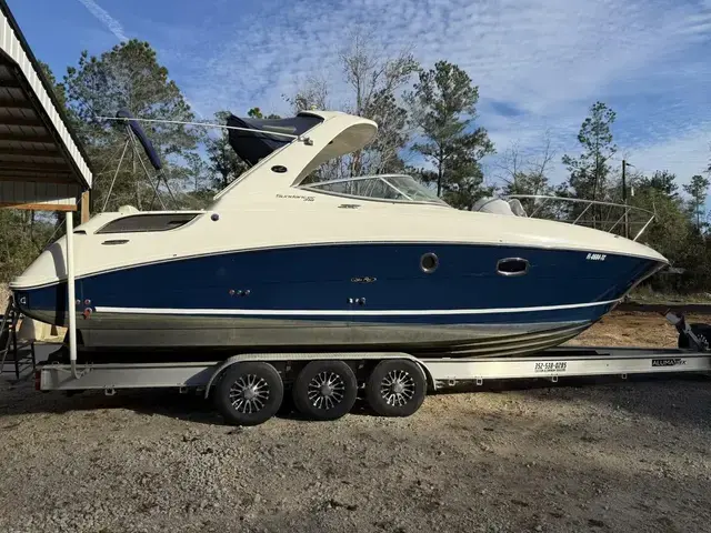 Sea Ray 310 Sundancer