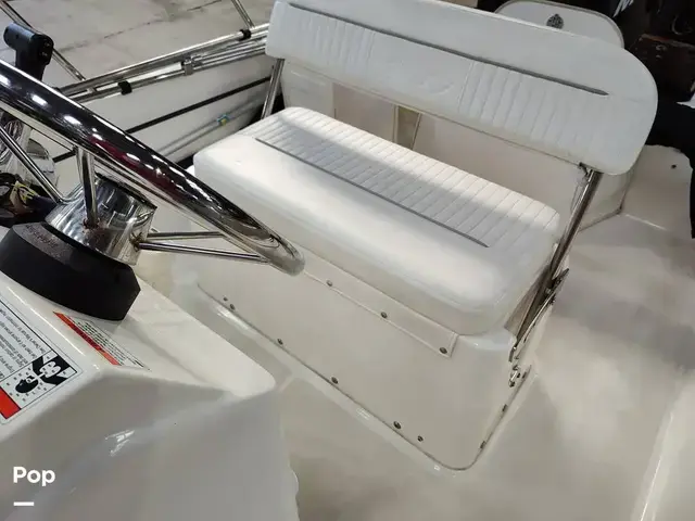 Boston Whaler 1700 Montauk