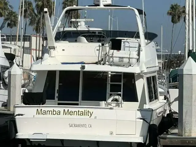 Meridian 490 Pilothouse