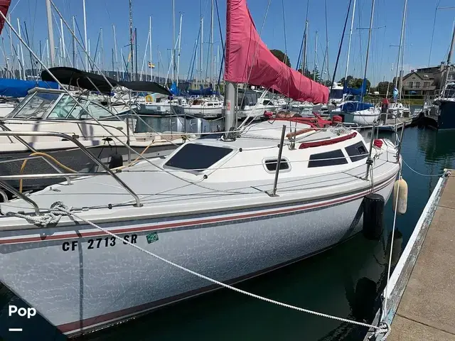 Catalina Capri 26