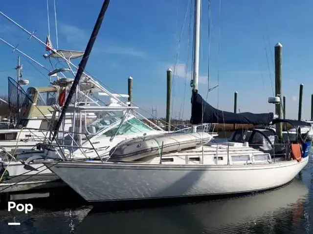 Sabre 34