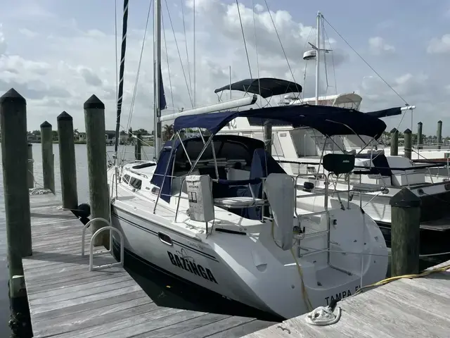 Catalina 350