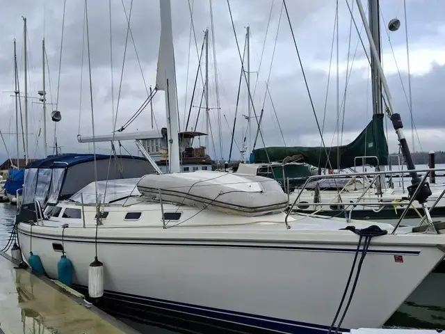 Catalina 42