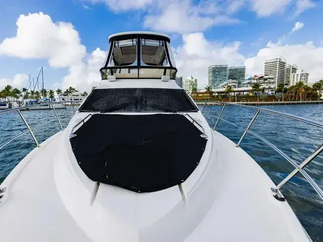 Sea Ray 400 Fly