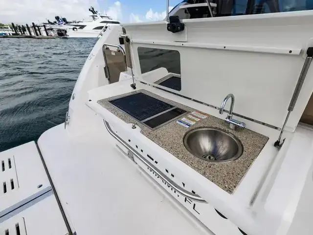 Sea Ray 400 Fly