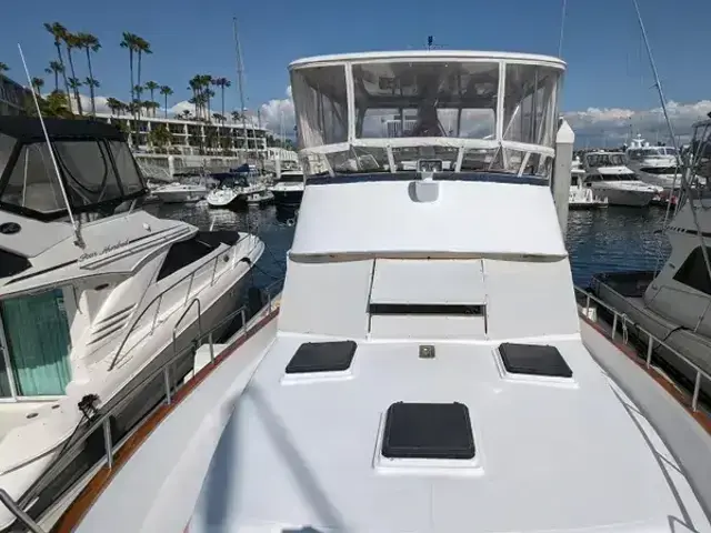 Sea Ranger 45