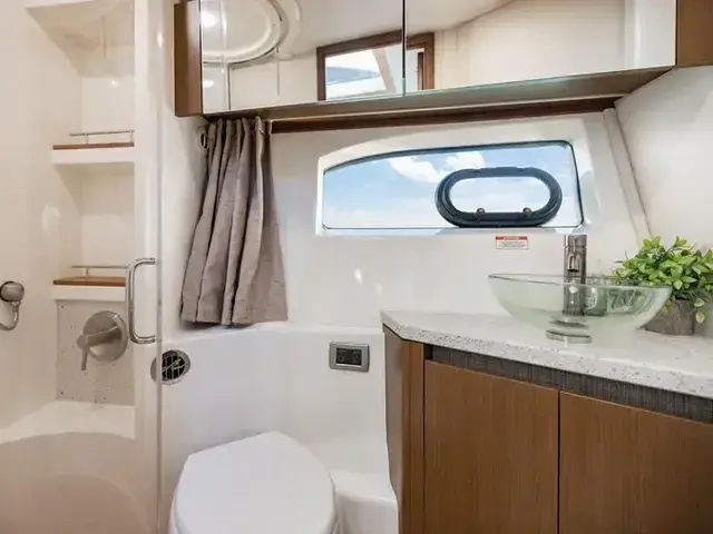 Sea Ray 400 Fly