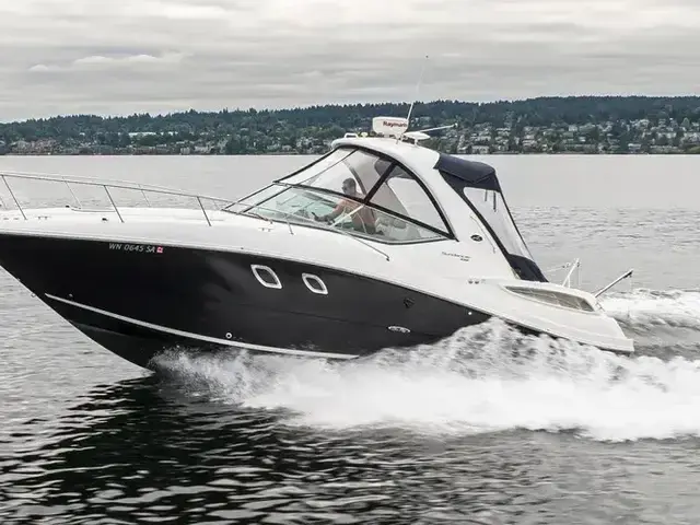 Sea Ray 33