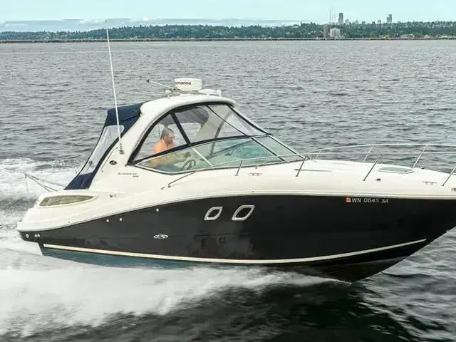 Sea Ray 33