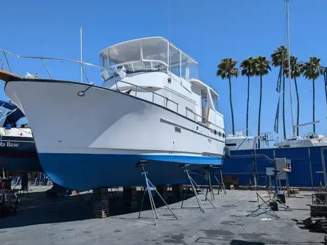 Sea Ranger 45