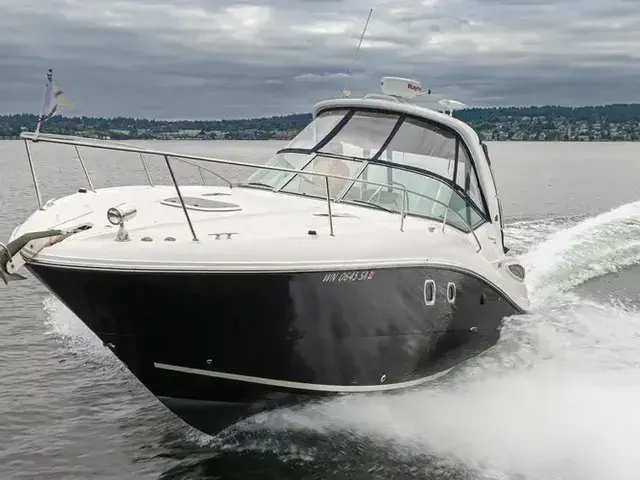 Sea Ray 33