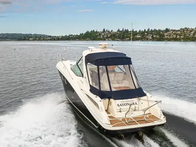 Sea Ray 33