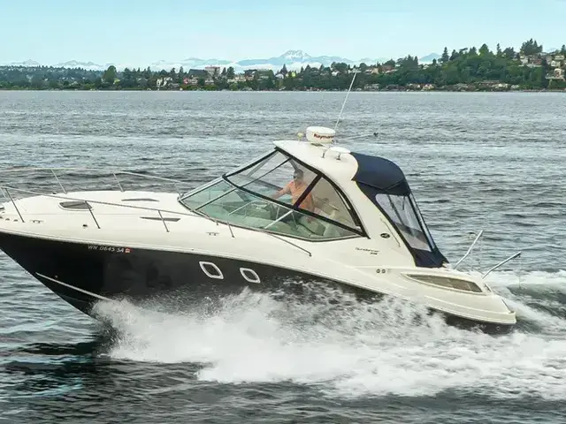 Sea Ray 33