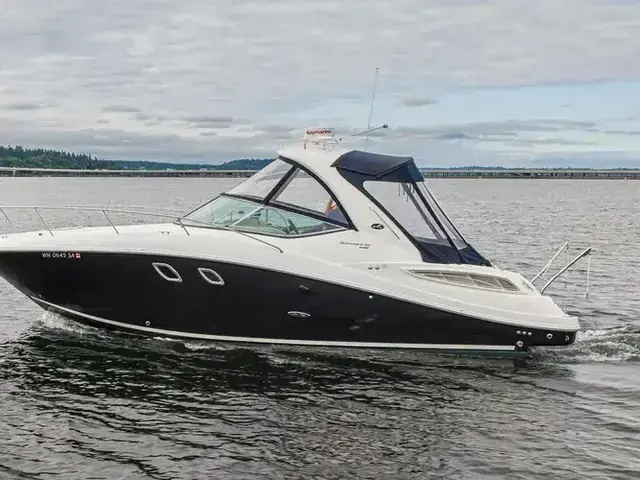 Sea Ray 33