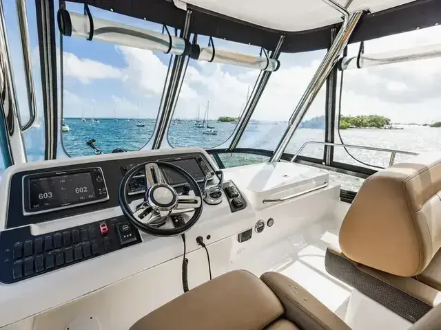 Sea Ray 400 Fly