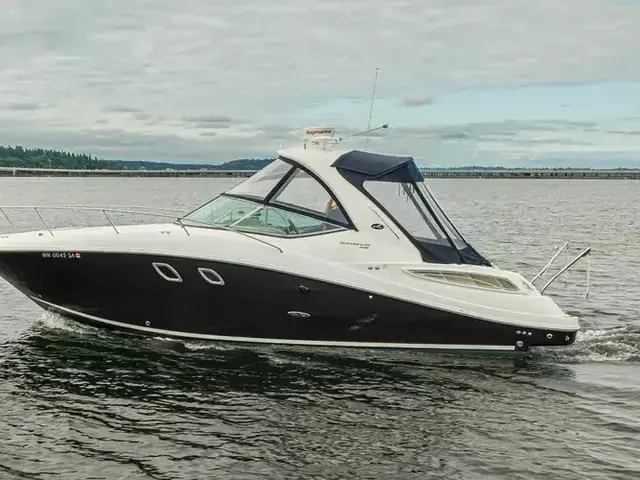 Sea Ray 33