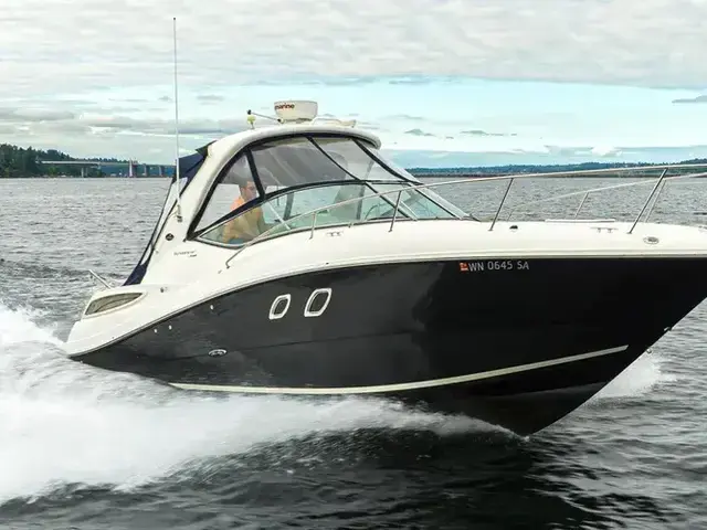 Sea Ray 33