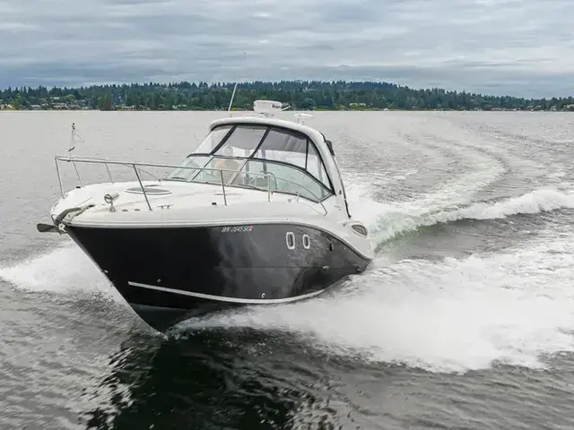 Sea Ray 33