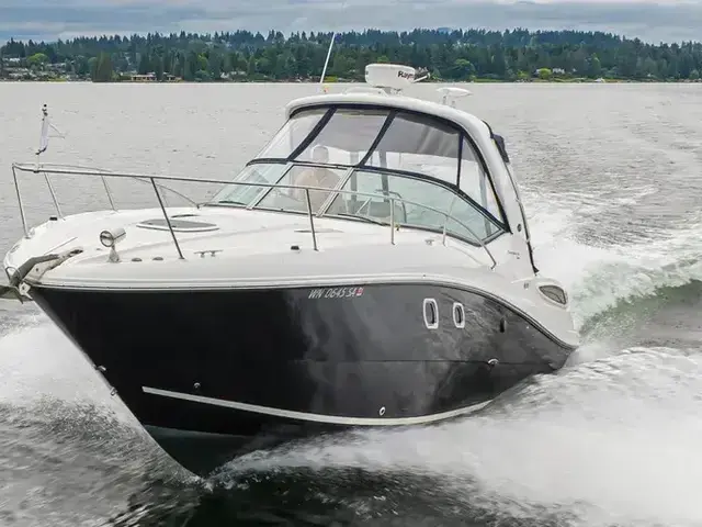 Sea Ray 33