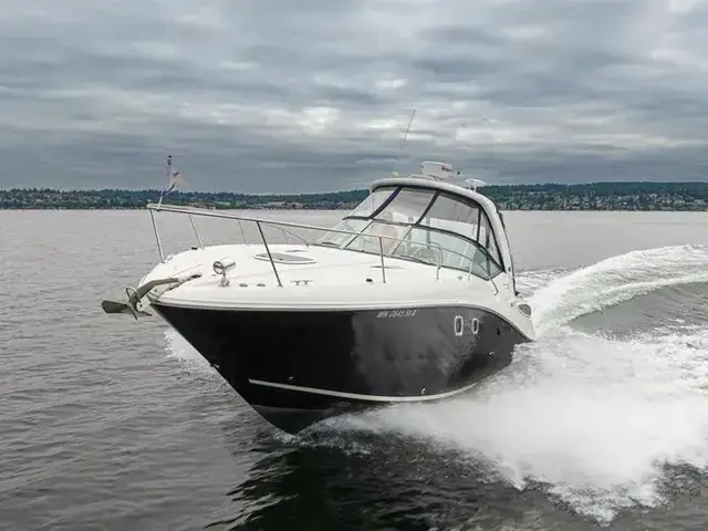 Sea Ray 33