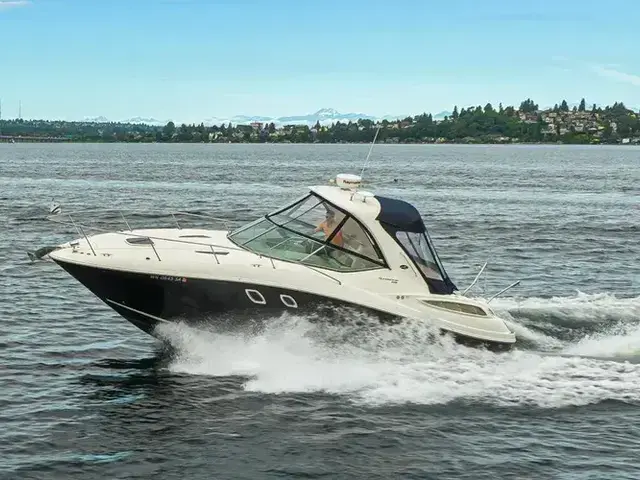 Sea Ray 33