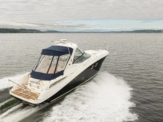 Sea Ray 33