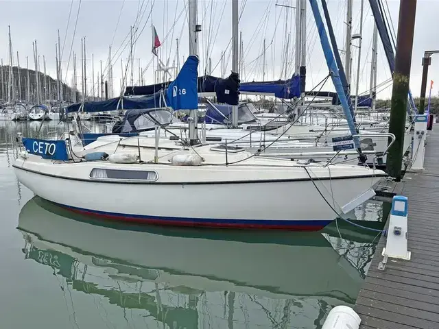 Hallberg Rassy 26